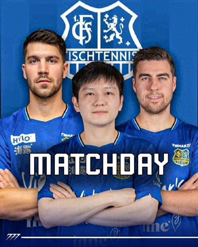 无疑增强了 无疑增强了